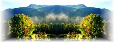 Doctor DeMarco Recommended Products