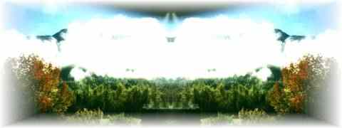 Doctor DeMarco Recommended Products