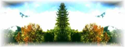 Doctor DeMarco Recommended Products