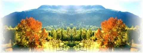 Doctor DeMarco Recommended Products