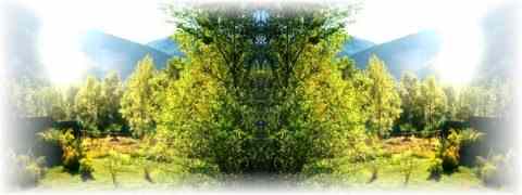 Doctor DeMarco Recommended Products