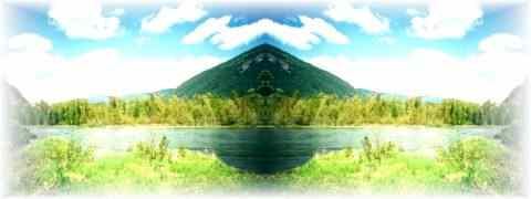 Doctor DeMarco Recommended Products