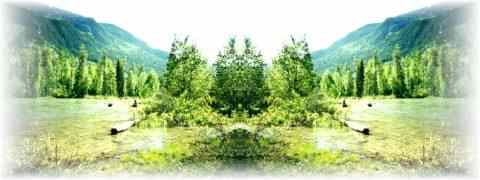 Doctor DeMarco Recommended Products