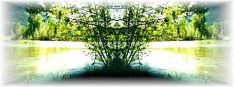 Doctor DeMarco Recommended Products