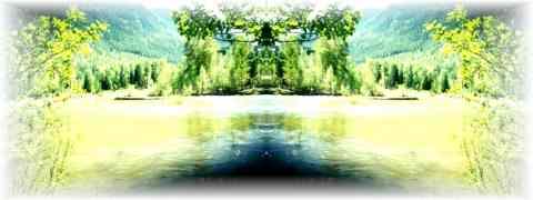 Doctor DeMarco Recommended Products