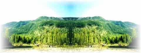 Doctor DeMarco Recommended Products