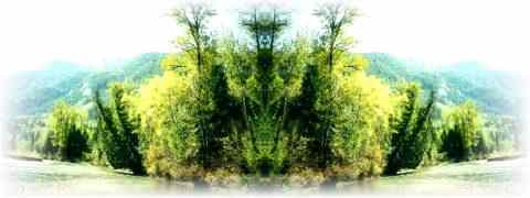 Doctor DeMarco Recommended Products