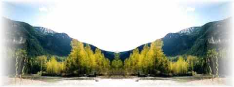 Doctor DeMarco Recommended Products