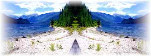 Doctor DeMarco Recommended Products