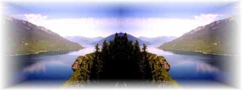 Doctor DeMarco Recommended Products