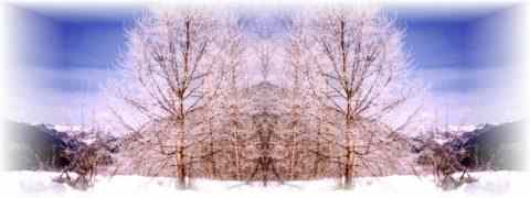 Doctor DeMarco Recommended Products