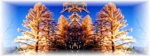 Doctor DeMarco Recommended Products