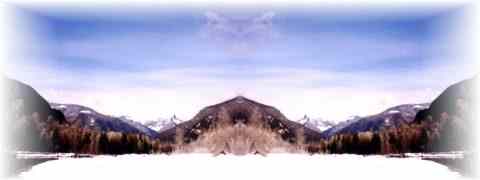 Doctor DeMarco Recommended Products