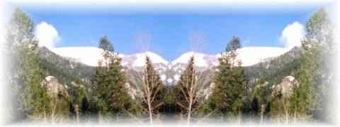 Doctor DeMarco Recommended Products