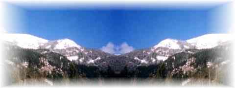 Doctor DeMarco Recommended Products