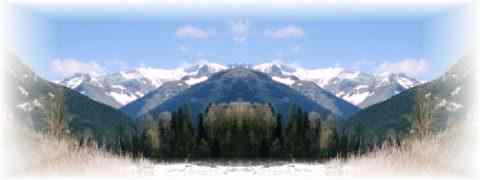 Doctor DeMarco Recommended Products