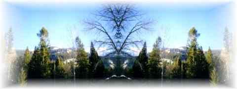 Doctor DeMarco Recommended Products