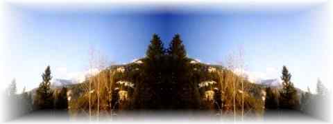 Doctor DeMarco Recommended Products