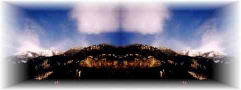 Doctor DeMarco Recommended Products