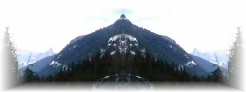 Doctor DeMarco Recommended Products