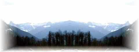 Doctor DeMarco Recommended Products