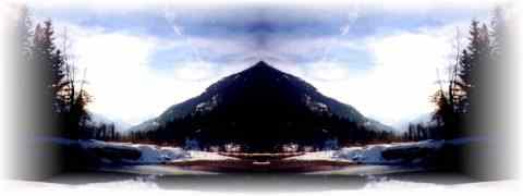 Doctor DeMarco Recommended Products