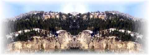 Doctor DeMarco Recommended Products