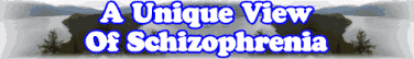 A Unique View Of Schizophrenia