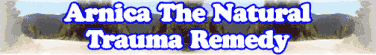 Arnica- The Natural Trauma Remedy