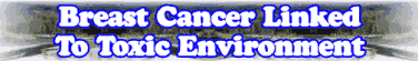 Breast Cancer Linked To Toxic Environment