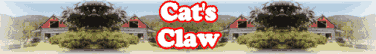 Cat's Claw