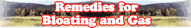 Quick Survey: Remedies for Bloating and Gas