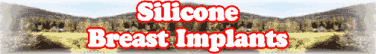 Quick Survey: Silicone Breast Implants