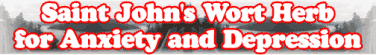Saint John's Wort Herb for Anxiety and Depression
