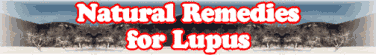 Quick Survey: Natural Remedies for Lupus