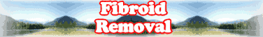 Quick Survey: Fibroid Removal