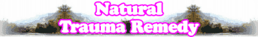 Quick Survey: Natural Trauma Remedy