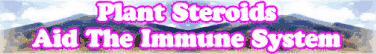 Quick Survey: Plant Steroids Aid The Immune System