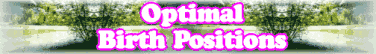 Quick Survey: Optimal Birth Positions