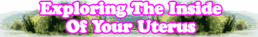 Quick Survey: Exploring The Inside Of Your Uterus