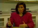 video039.jpg